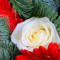 Christmas tree bouquet+Chocolate Santa Claus Baranovichi