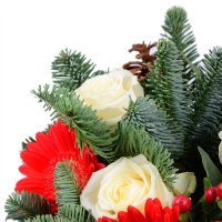 Christmas tree bouquet+Chocolate Santa Claus Belaya Сerkov (Bila Cerkva)