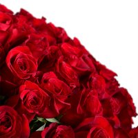 Величезний букет троянд Ель-Серрат
