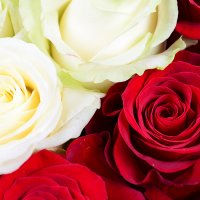 Сердце с розами Окленд
