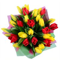 Red and yellow tulips Vileyka