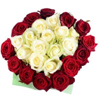 25 красно-белых роз Ланс
