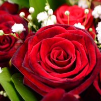  Bouquet Red heart Midlothian
														