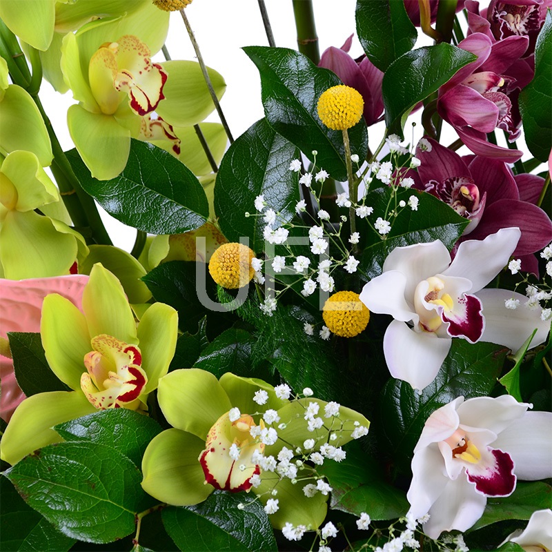 Bouquet of flowers Exotics
                            