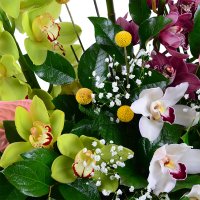 Bouquet of flowers Exotics Corfu
                            