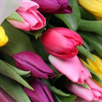 Весняний привіт 11 тюльпанів Стра