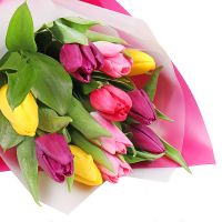 Весняний привіт 11 тюльпанів Пугачени