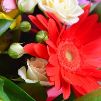 Букет квітів Радісний Вікторія (Сейшельські Острови)