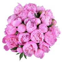  Bouquet Pink peonies Chatillon
														