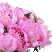  Bouquet Pink peonies Leszno
														