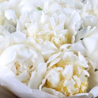 Букет цветов Белые пионы Черноморск
