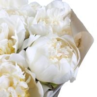 Букет цветов Белые пионы Торрелавега