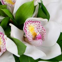 White Orchid wedding bouquet Kissing