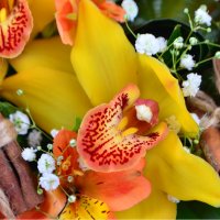 Букет квітів Персик Ватерлоо (Онтаріо)