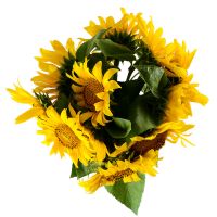  Bouquet Of sunflowers Crimea
                            