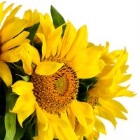  Bouquet Of sunflowers Uman
                            