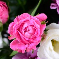  Bouquet Pink morning Uman
														