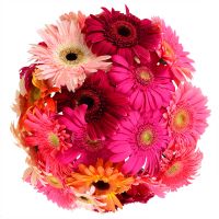 Bouquet With gerberas Chetrosu
														