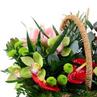  Bouquet Anniversary basket Bentota
                            