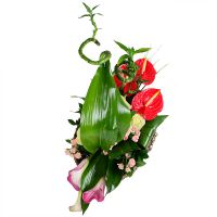 Букет цветов Парус Сен-Жан-Кап-Ферра
														
