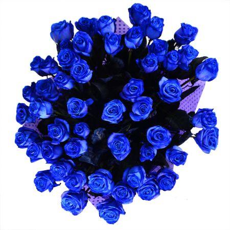 51 синяя роза 51 синяя роза