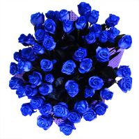 51 blue roses Slavuta