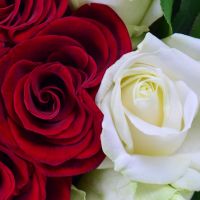  Bouquet Red-and-white heart Guardamar del Segura
                            