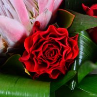 Букет цветов Торжественный Алма-Ата
														