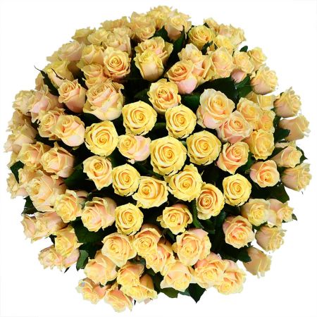 Шикарний букет роз 101 кремова троянда Шикарний букет роз 101 кремова троянда