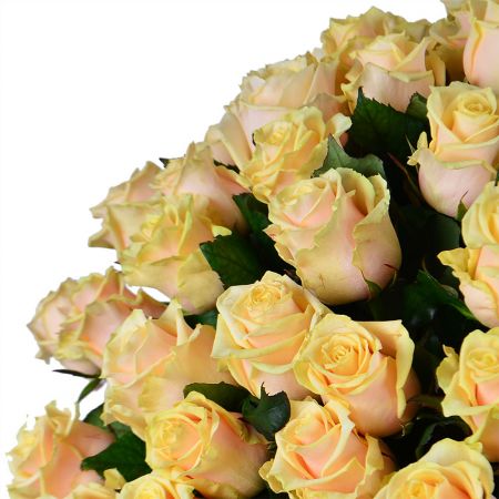Шикарний букет роз 101 кремова троянда