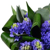 Bouquet with hyacinths Olgiate Olona