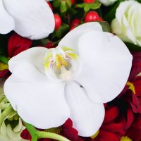  Bouquet Exotic Spring Denpasar
														