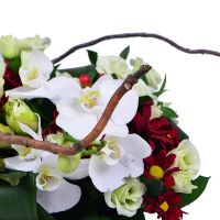 Bouquet Exotic Spring Giessen
														