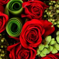 Ексклюзивне серце із троянд Острог (Рівненська область)