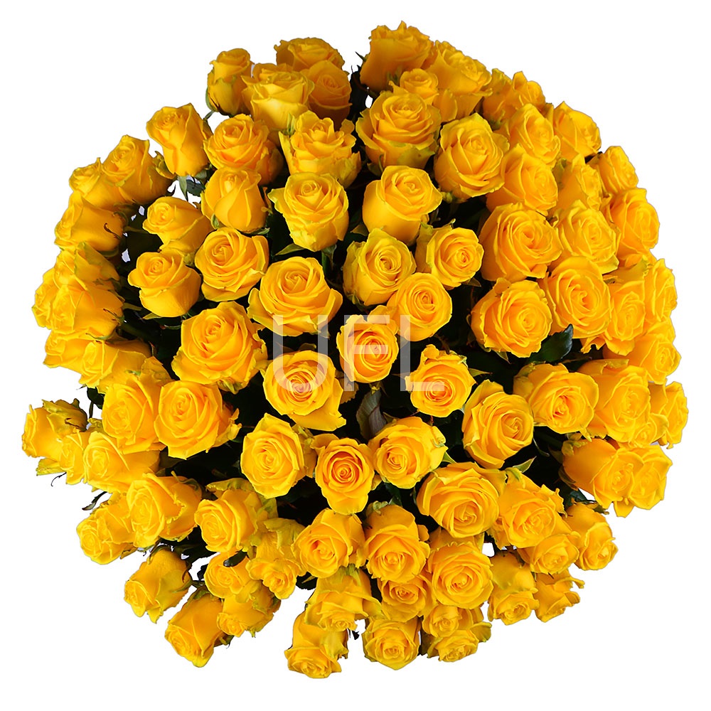 101 yellow roses 101 yellow roses