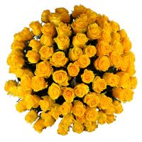 101 yellow roses Severodonetsk