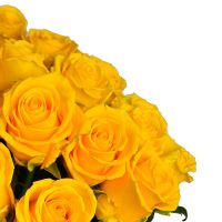 101 жовта троянда Вест Ньютон