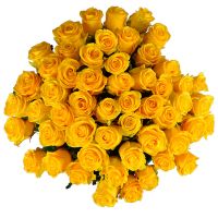 51 жовта троянда Лайнфельден-Ехтердінґен