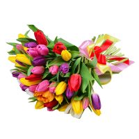  Bouquet 51 tulip Rueil-Malmaison
                            