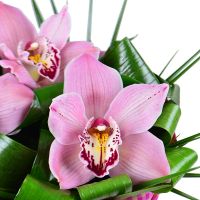  Bouquet Three orchids Belem
														
