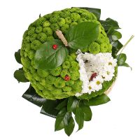 Игрушка из цветов - Зеленое яблоко Житомир