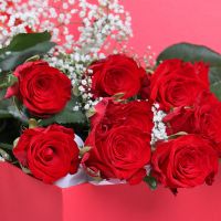9 троянд в подарунковій коробці Пайрікард