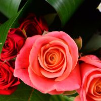 Bouquet for Name-Day Hodosivka