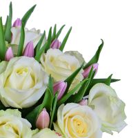 Белые розы и тюльпаны Кан-Пастилья