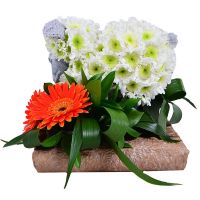 Bouquet of flowers Sheep Turku
														