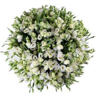  Bouquet 101 eustoma Zilale
														