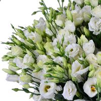  Bouquet 101 eustoma Zilale
														