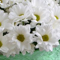 Big bouquet of chrysanthemums Mariupol (delivery currently not available)