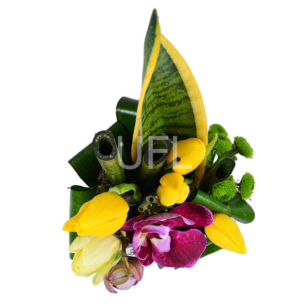  Bouquet Tropical basket
													