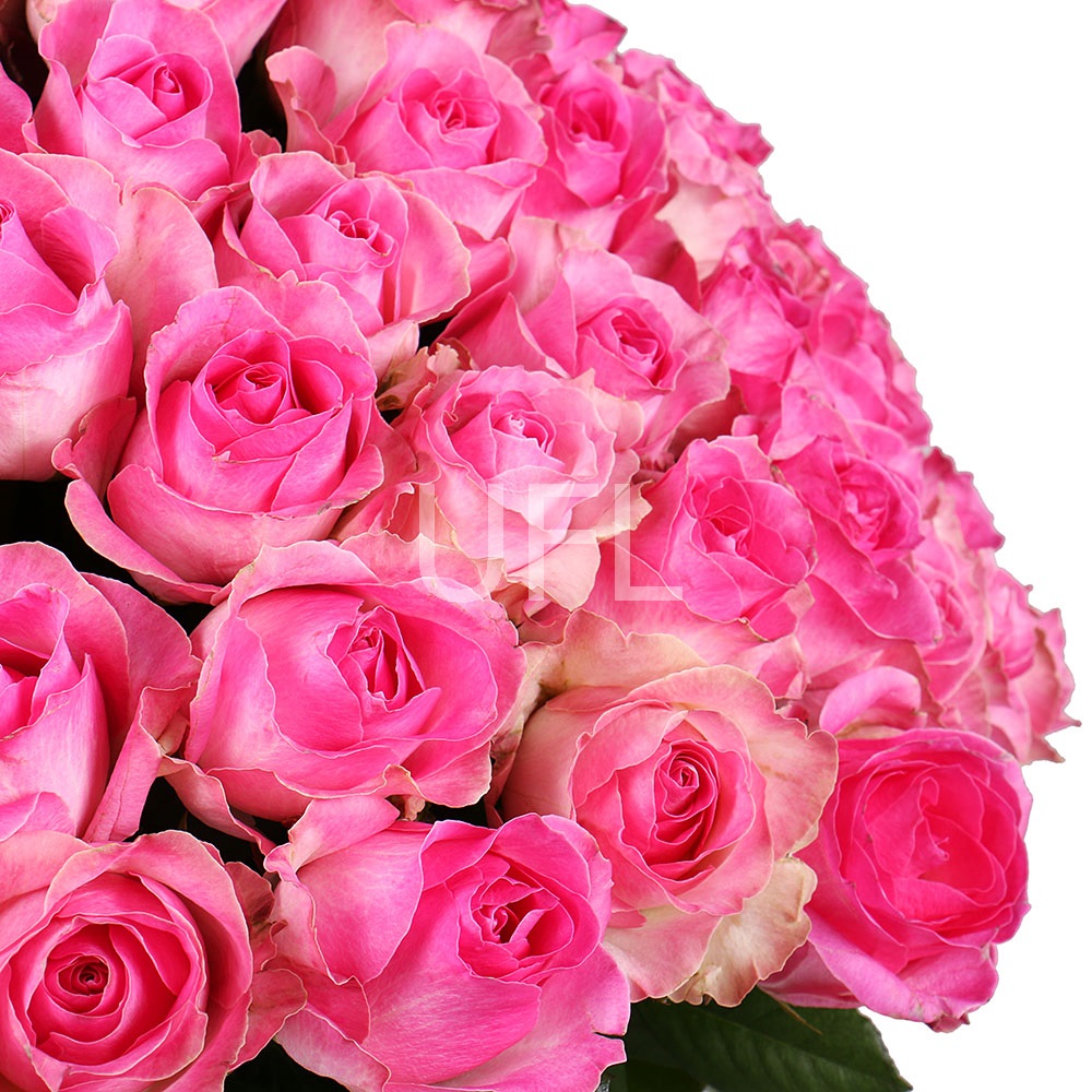 Букет 101 розовая роза Букет 101 розовая роза